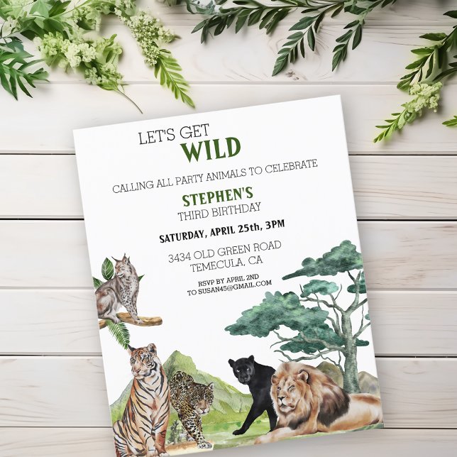 Lejon Stora Katter Djungel Safari Vild Födelsedag  (Skapare uppladdad)