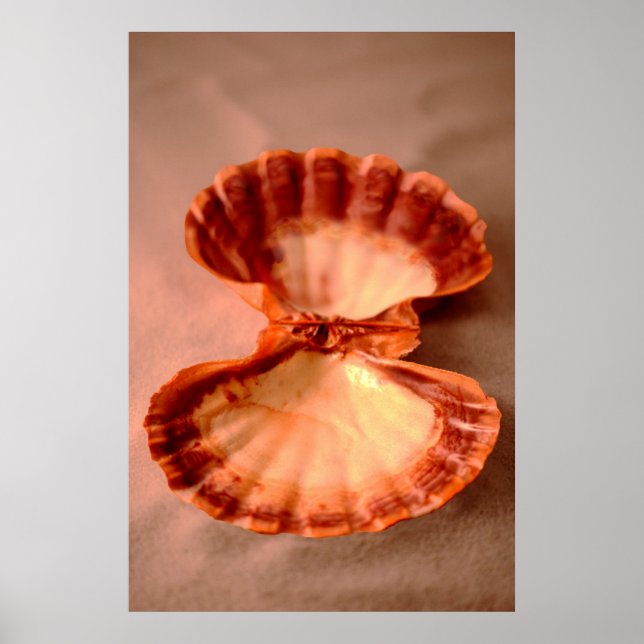 Lejon Tass Poster (Framsidan)