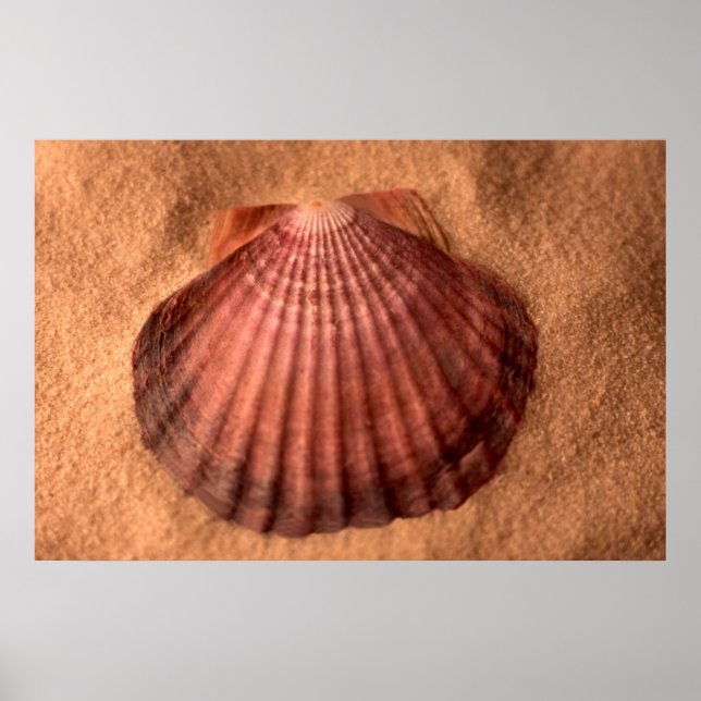 Lejon Tass Poster (Framsidan)