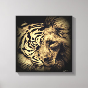Lejon tiger 2 tum1-Kanvastryck Canvastryck