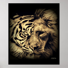 Lejon tiger 2 tum1-Poster Poster