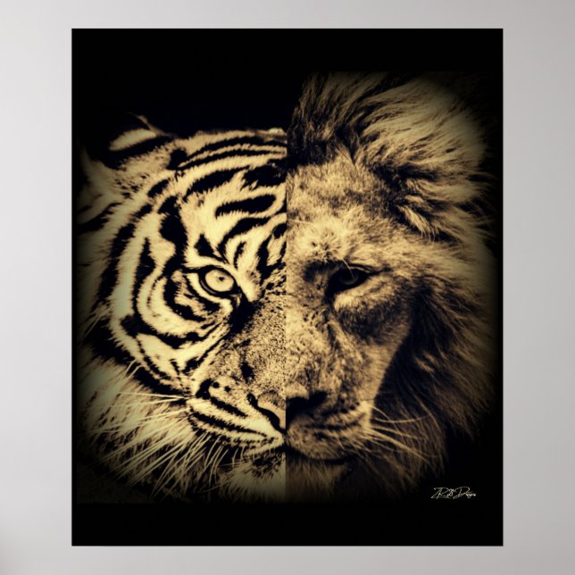 Lejon tiger 2 tum1-Poster Poster (Framsidan)