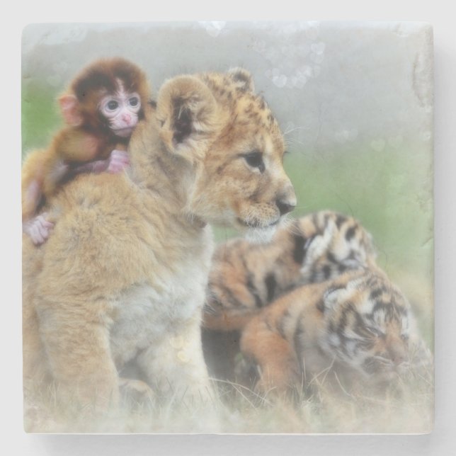 Lejon, Tiger och Apa Underlägg Sten (Framsidan)