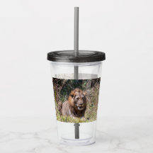 Lejon Tumbler
