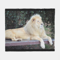 Lejon ullfilt för vit
