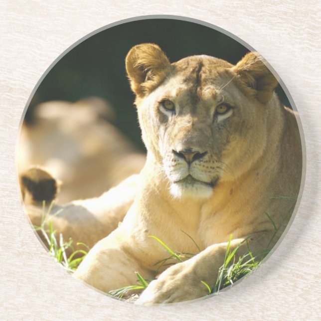 Lejon Underlägg Sandsten (Framsidan)