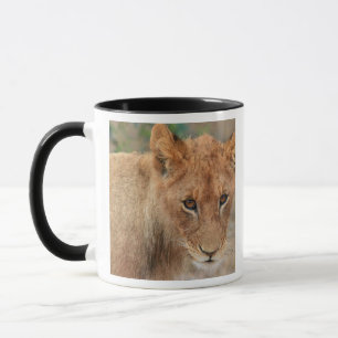 Lejon unge mugg