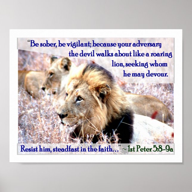 Lejon uppfödning poster (Framsidan)