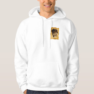 Lejon, vacker stor katt Wildlife Hoodie
