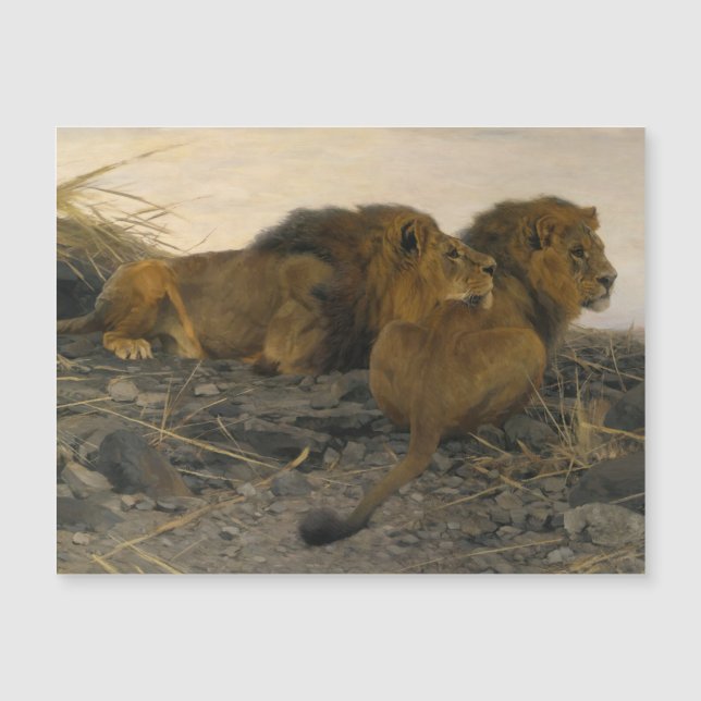 Lejon vid bevakningen av Wilhelm Kuhnert (Framsida)