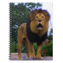 Lejon vid Sten Anteckningsbok Med Spiral
