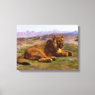 Lejon vild i African Savannah Canvastryck