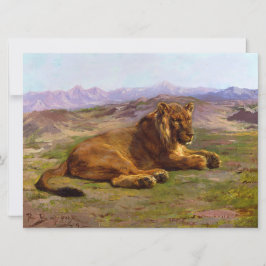 Lejon vild i Masai Mara Kort