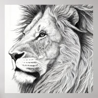 Lejon Vild: Illustration av djur Art Teckning