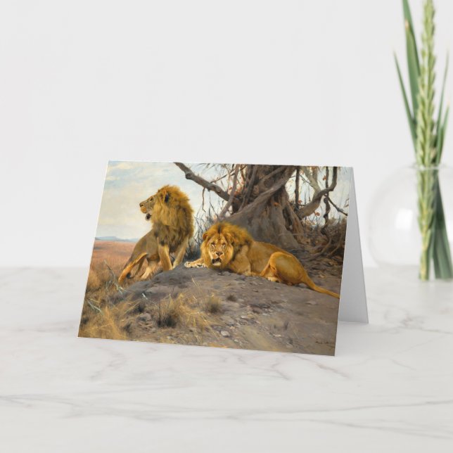 Lejon | Wilhelm Kuhnert Kort (Framsida)