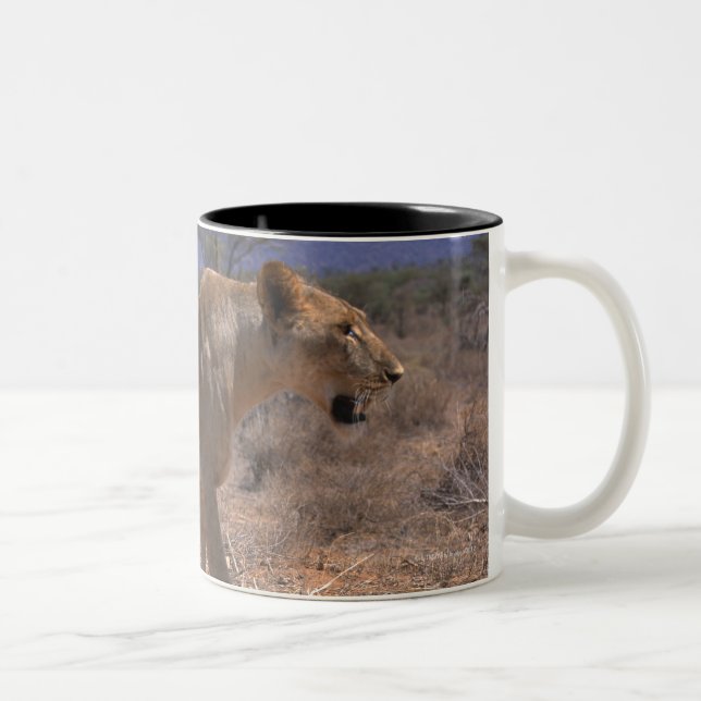 Lejona 3 Två-Tonad mugg (Höger)