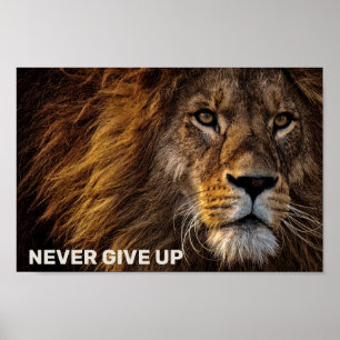 Lejona - aldrig Ge uppåt Poster