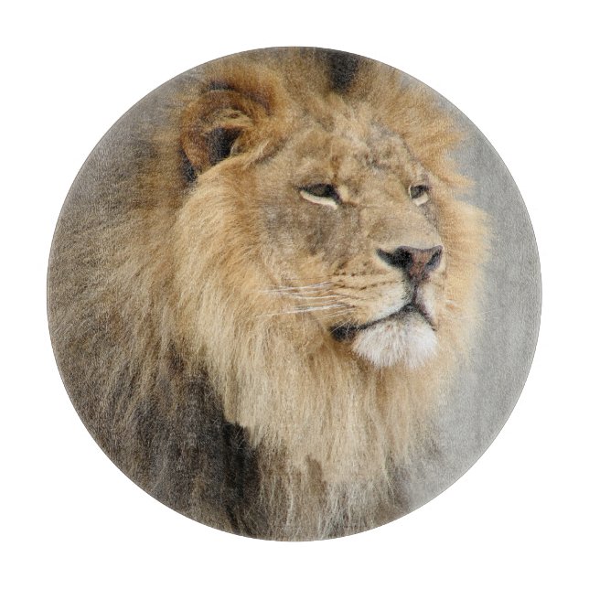 Lejona Älskare Kung i Jungle (Framsidan)