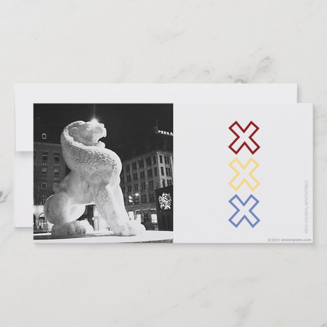 Lejona Amsterdam (Framsida)