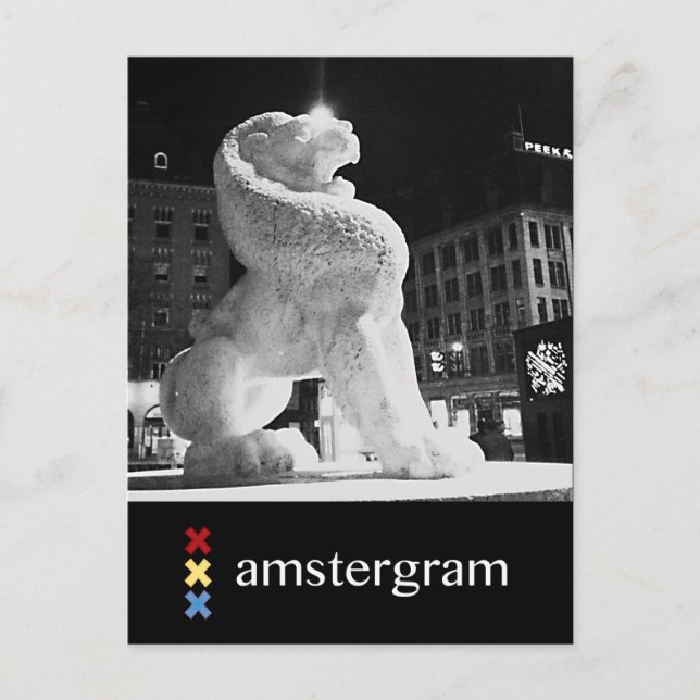 Lejona Amsterdam Vykort (Framsida)