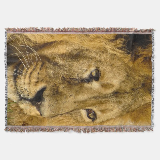 Lejona Ansikte Head Wildlife Cat Animal Throw Blan Mysfilt (Framsidan)