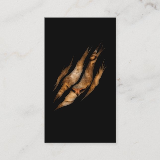 Lejona Ansikte Torn Klo Vild Djurkatt Safari Kung Visitkort (Framsida)