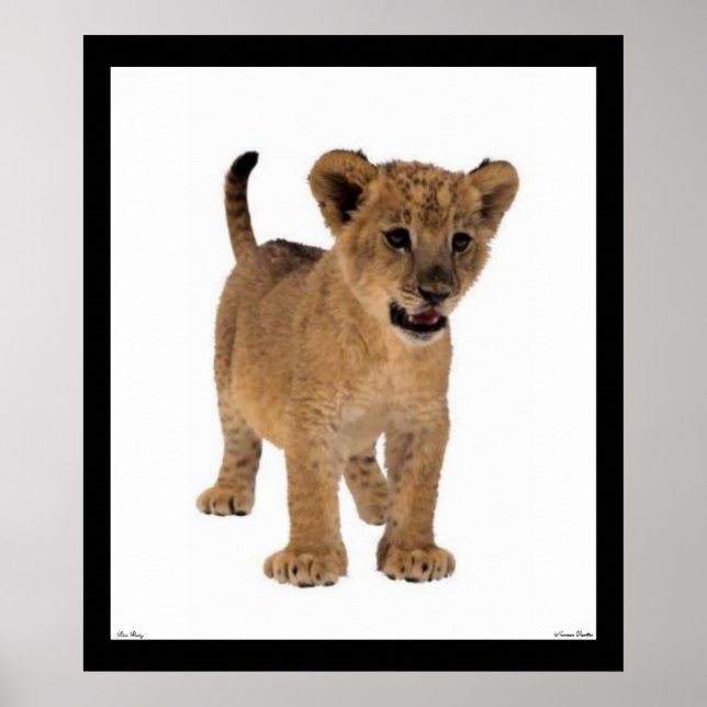Lejona Baby Poster (Framsidan)