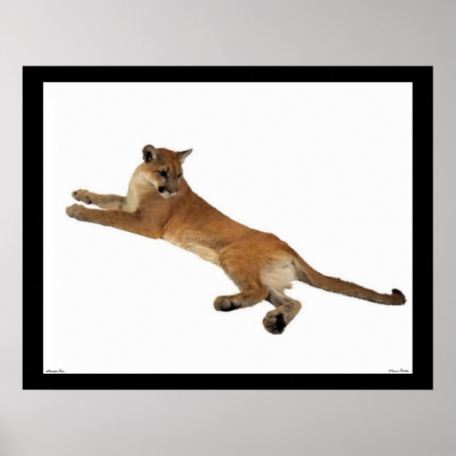 Lejona bergsområden Poster (Framsidan)