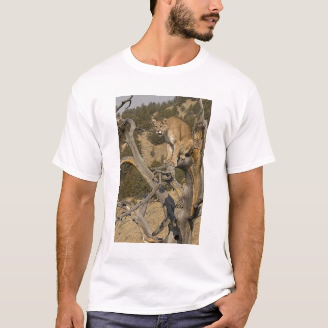 Lejona bergsregioner, även kallat puma, kumarer; P T Shirt (Framsida)
