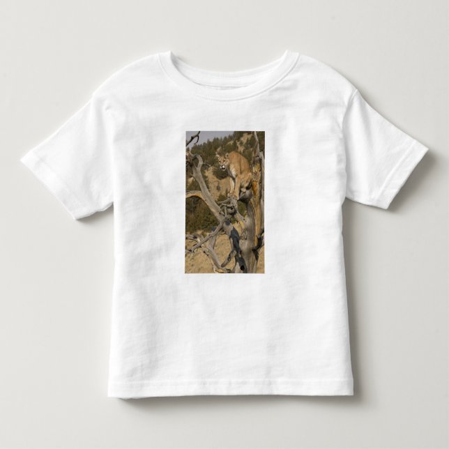 Lejona bergsregioner, även kallat puma, kumarer; P Tee Shirt (Framsida)