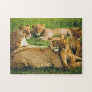 Lejona familjen Mor Unge Baby Lejon Jungle Savanna Pussel