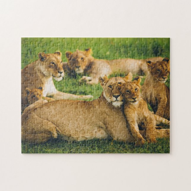 Lejona familjen Mor Unge Baby Lejon Jungle Savanna Pussel (Horisontell)