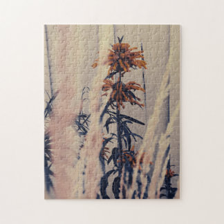 Lejona fotnoter pussel