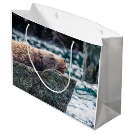 Lejona havet i rekreationsbukten, Alaska