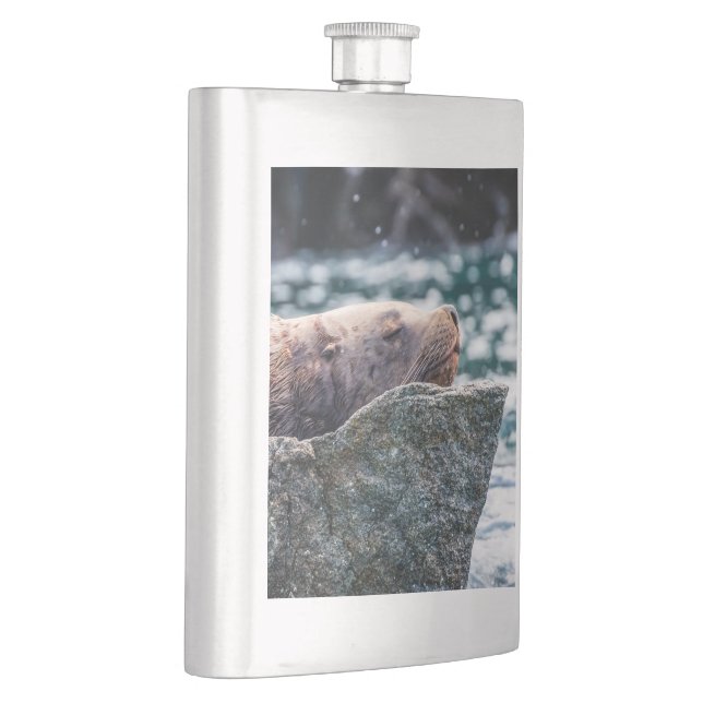 Lejona havet i rekreationsbukten, Alaska Fickplunta (Höger)