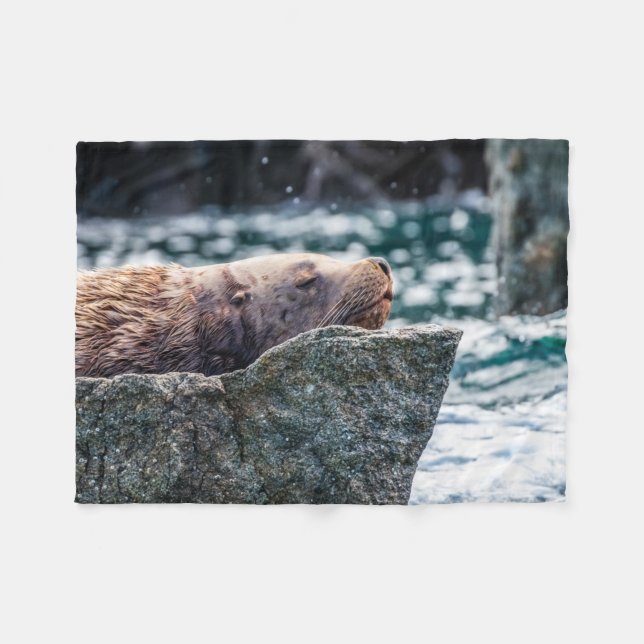 Lejona havet i rekreationsbukten, Alaska Fleecefilt (Framsidan (Horisontell))