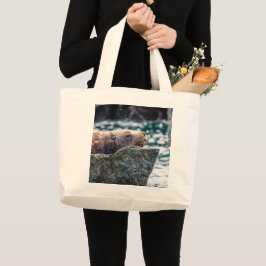 Lejona havet i rekreationsbukten, Alaska Jumbo Tygkasse