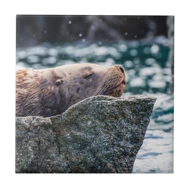 Lejona havet i rekreationsbukten, Alaska Kakelplatta (Framsidan)