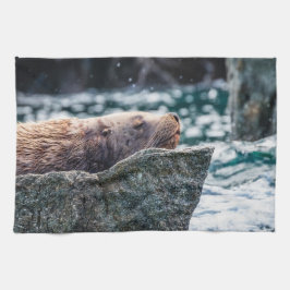 Lejona havet i rekreationsbukten, Alaska Kökshandduk