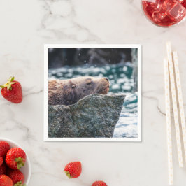 Lejona havet i rekreationsbukten, Alaska Pappersservett