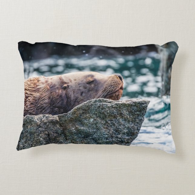 Lejona havet i rekreationsbukten, Alaska Prydnadskudde (Baksidan)