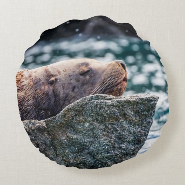 Lejona havet i rekreationsbukten, Alaska Rund Kudde (Baksidan)