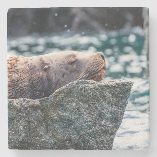 Lejona havet i rekreationsbukten, Alaska Stenunderlägg (Framsidan)