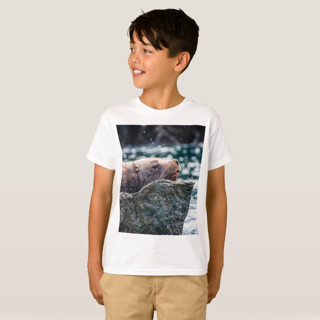 Lejona havet i rekreationsbukten, Alaska T Shirt (Hel framsida)