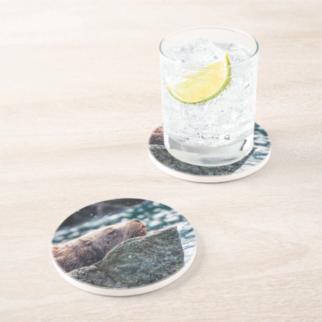 Lejona havet i rekreationsbukten, Alaska Underlägg (Sidan)