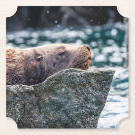 Lejona havet i rekreationsbukten, Alaska Underlägg Papper