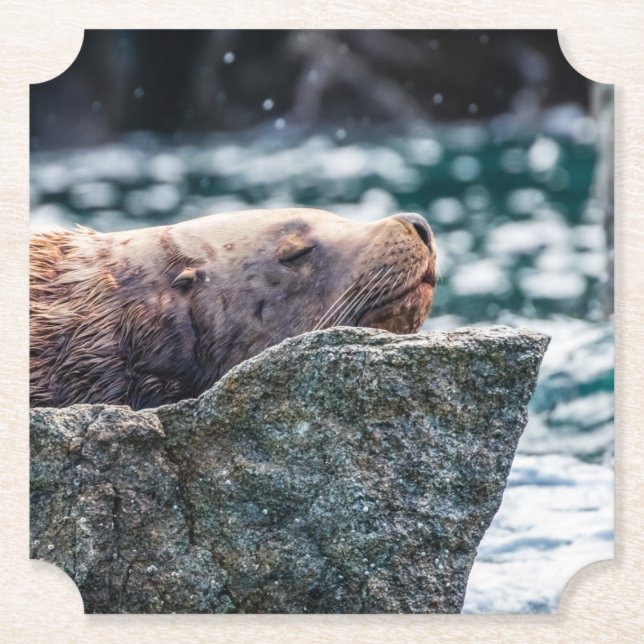 Lejona havet i rekreationsbukten, Alaska Underlägg Papper (Framsida)