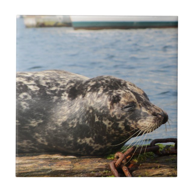 Lejona havet kakelplatta (Framsidan)