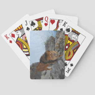 Lejona i bergen (av Richard Friese) Casinokort