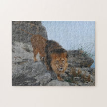 Lejona i bergen (av Richard Friese)